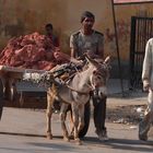 Dans la ville de Jaipur, Rajasthan.