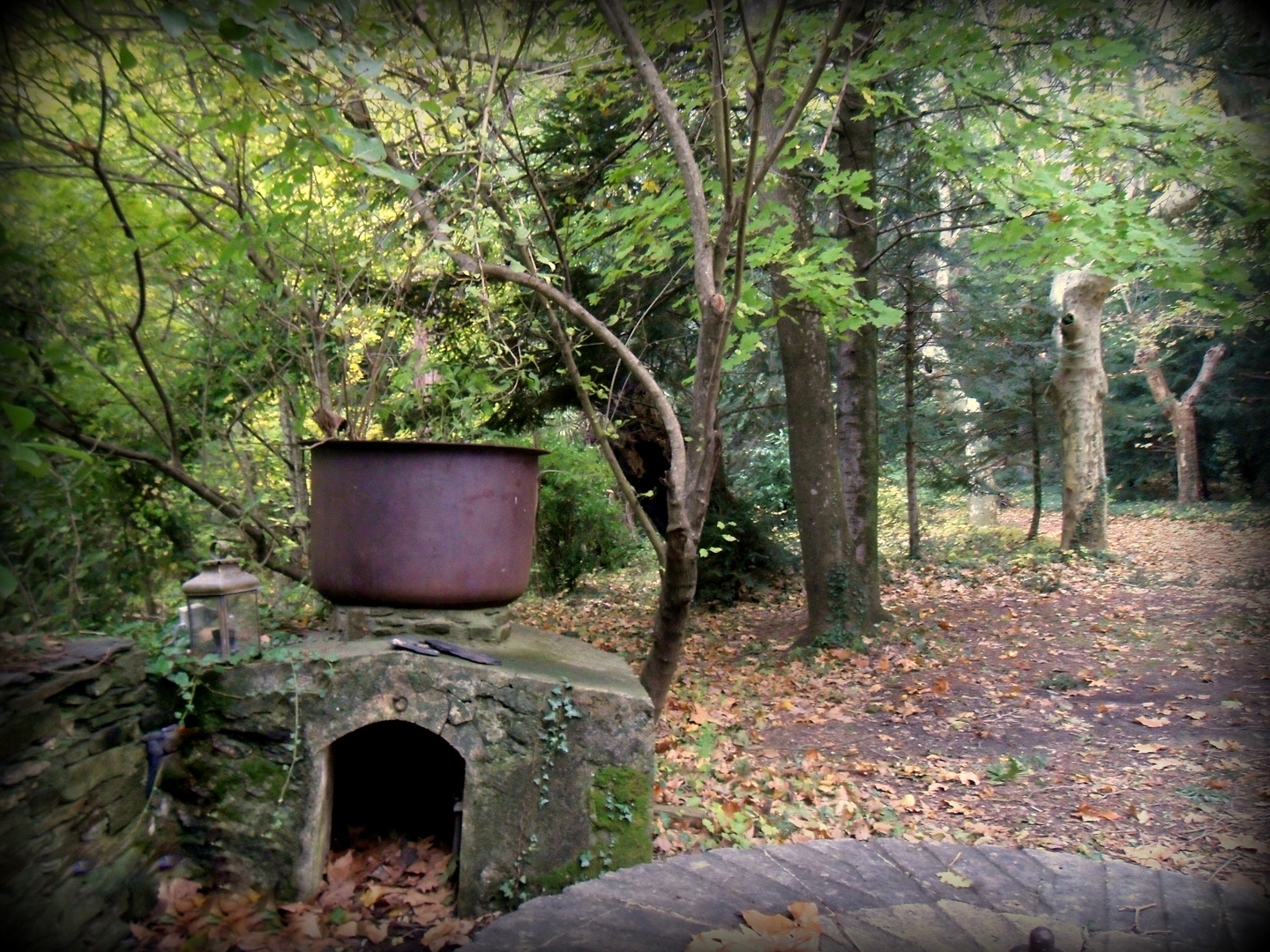 dans l'antre des sorcières ....