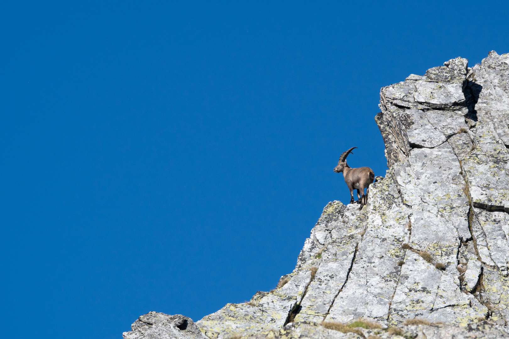 Dans le bleu de l'été