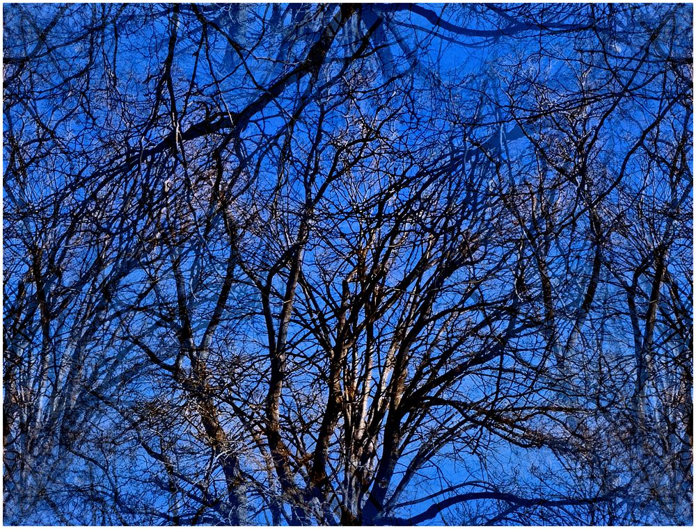 Dans le bleu du ciel