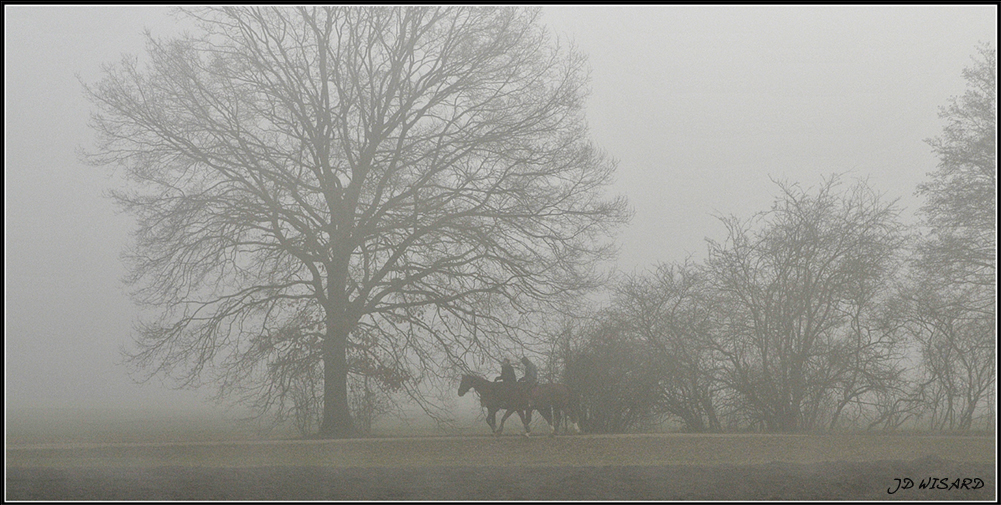 ....Dans le brouillard....