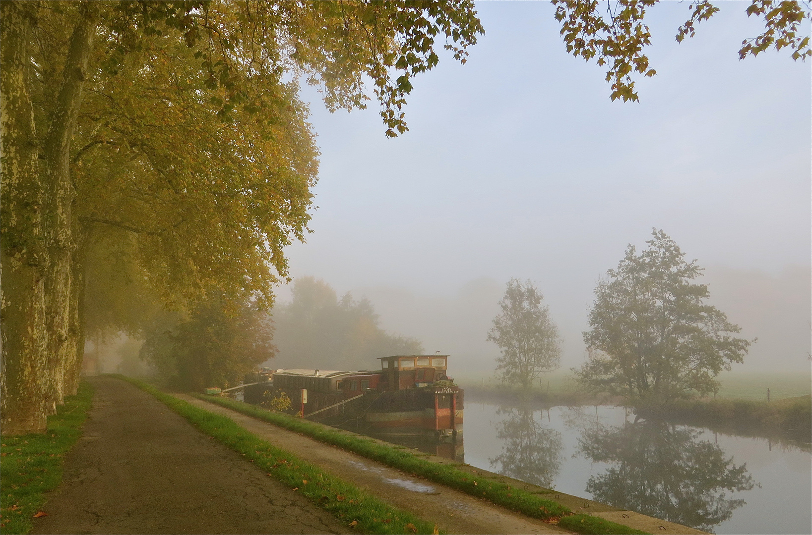 .. dans  le brouillard !!!...