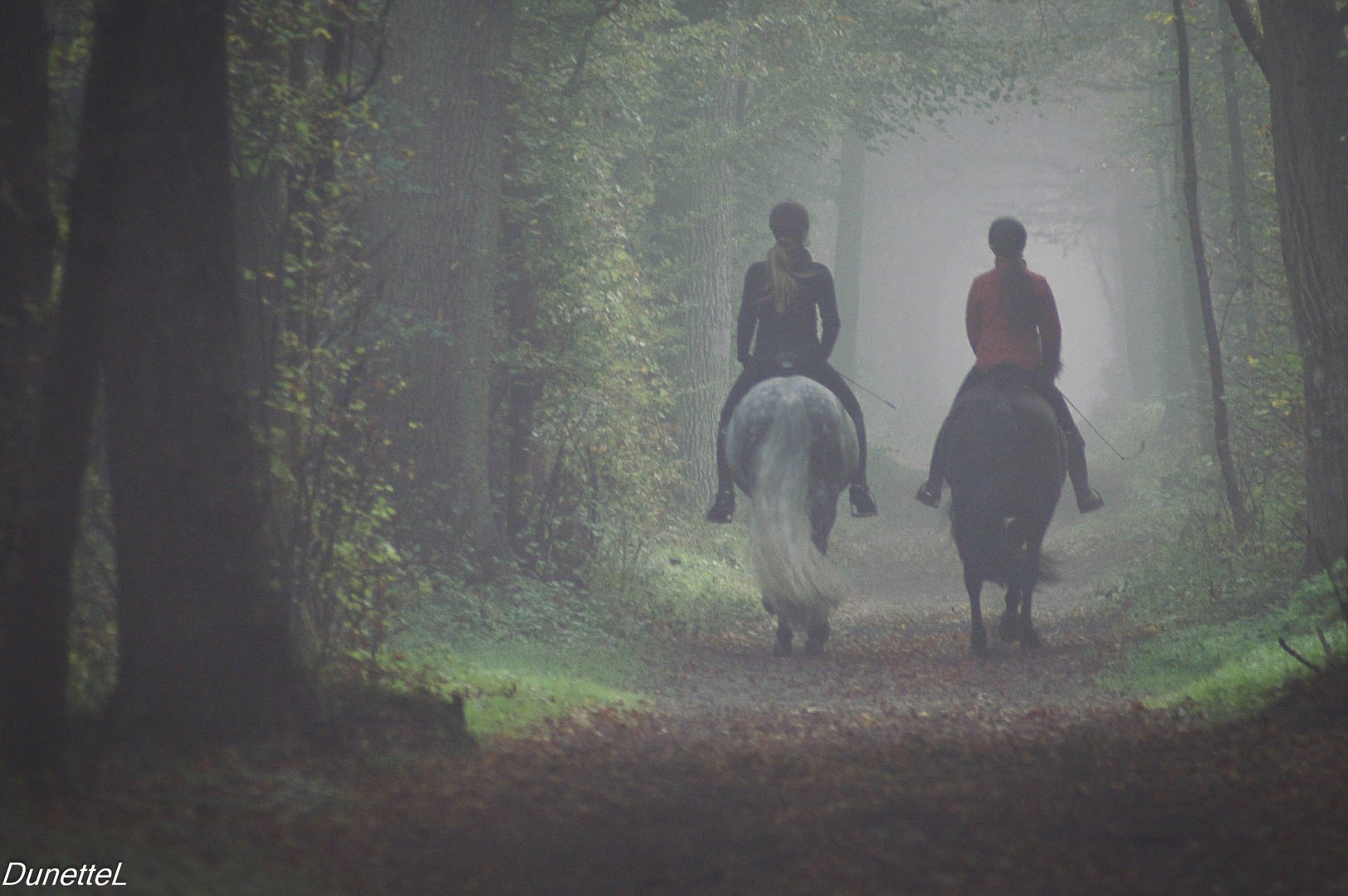 Dans le brouillard de septembre