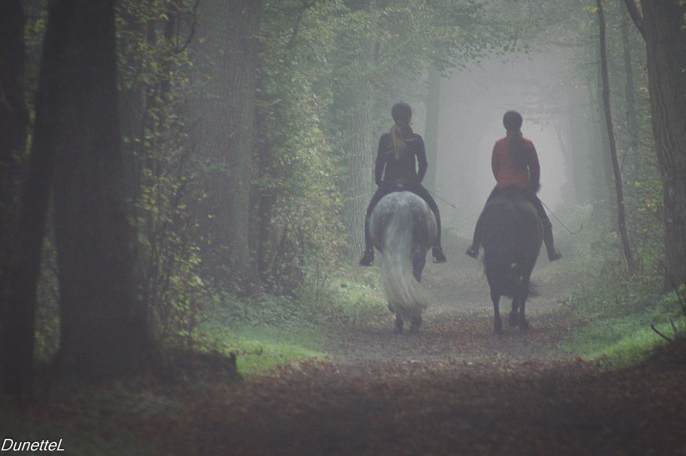 Dans le brouillard de septembre