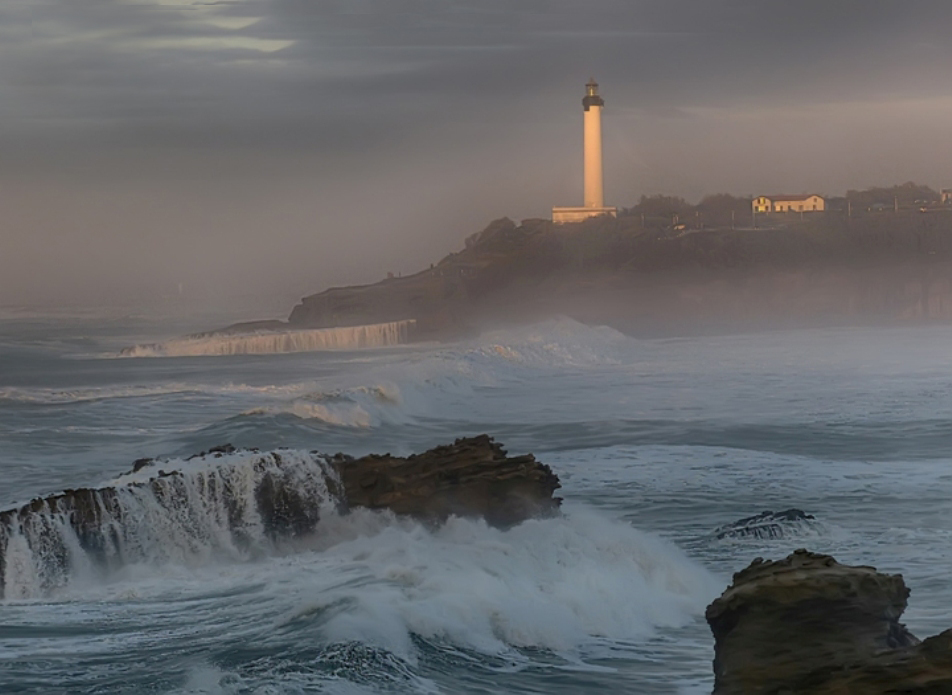 dans le brouillard du soir photo et image fleurs, biarritz dt antoine, nature Images