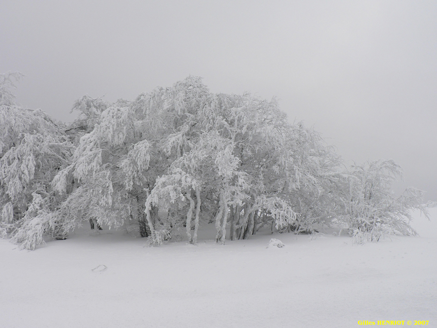 Dans le brouillard !