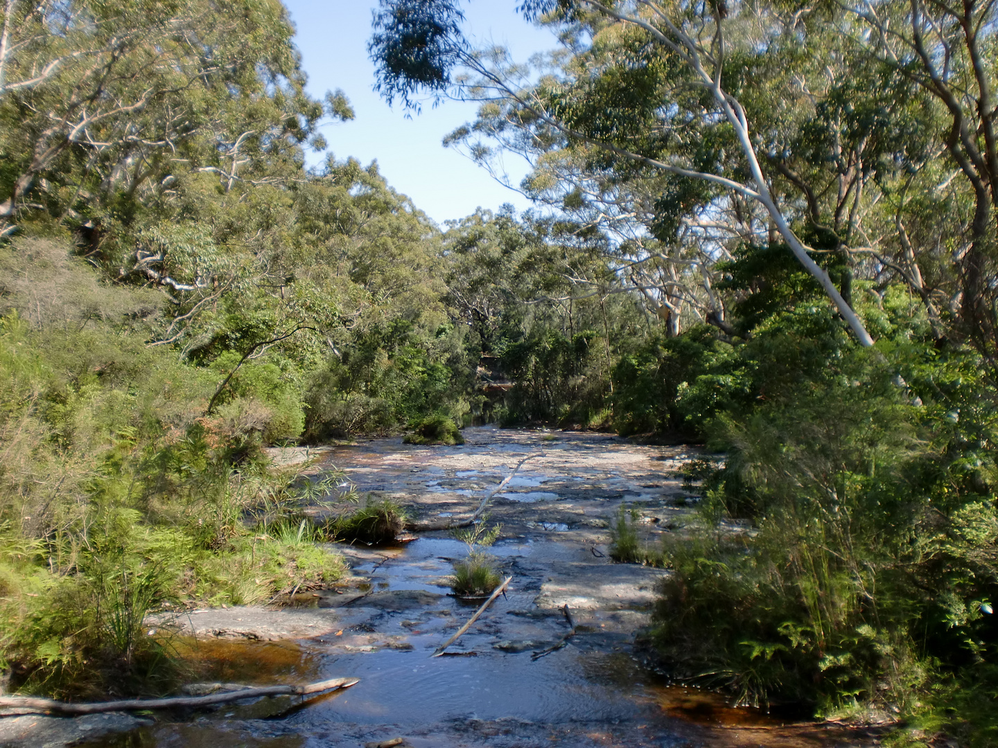 Dans le bush australien