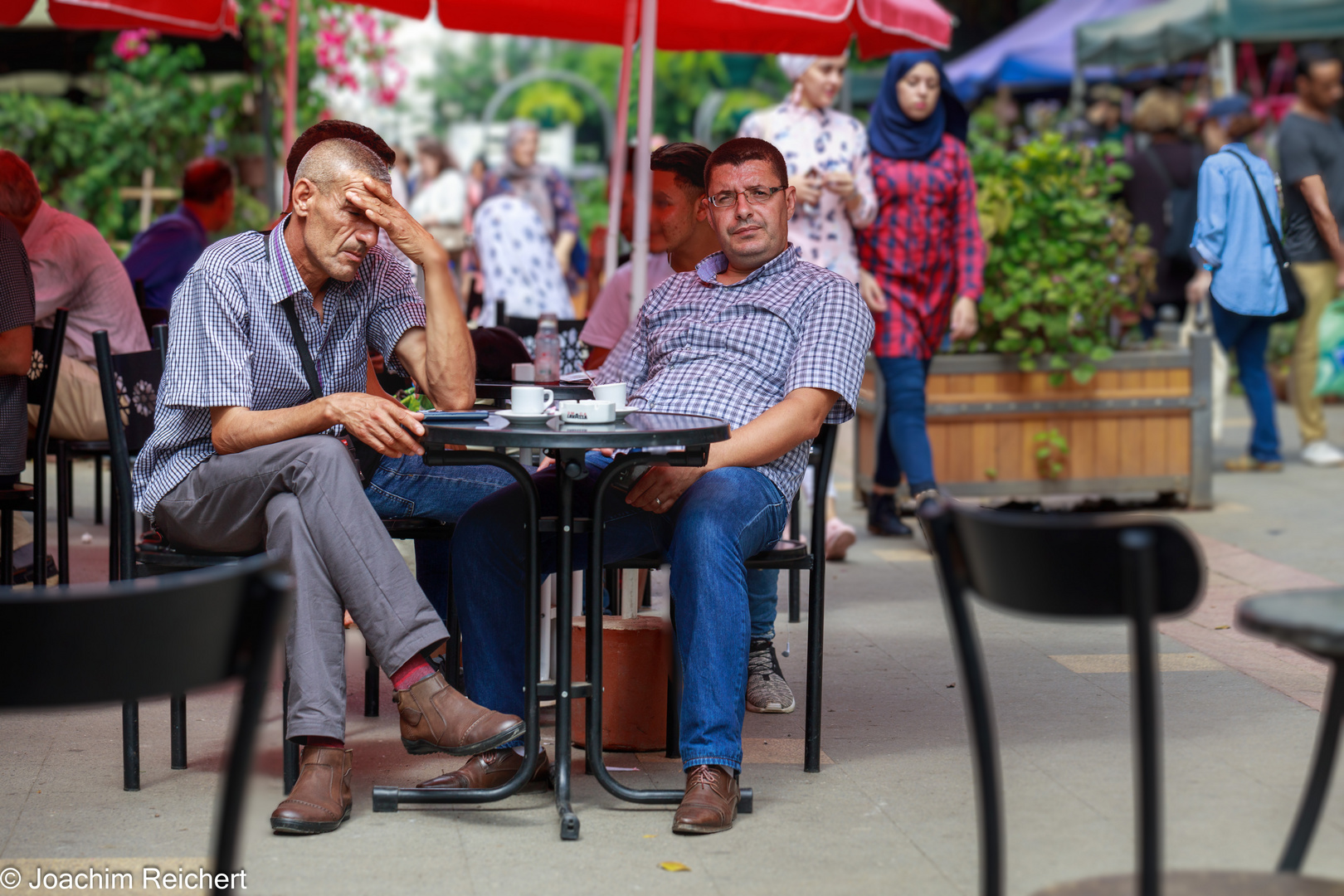 Dans le Café de la rue en face de la Grande Poste d'Alger