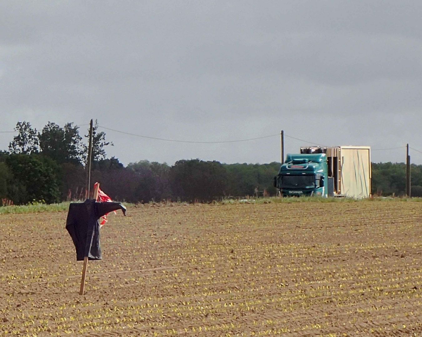 dans le champ voisin, sobre, il fait du stop.