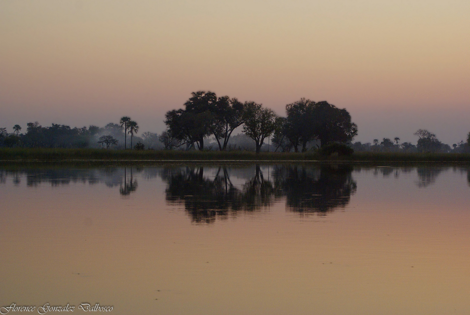 Dans le delta.