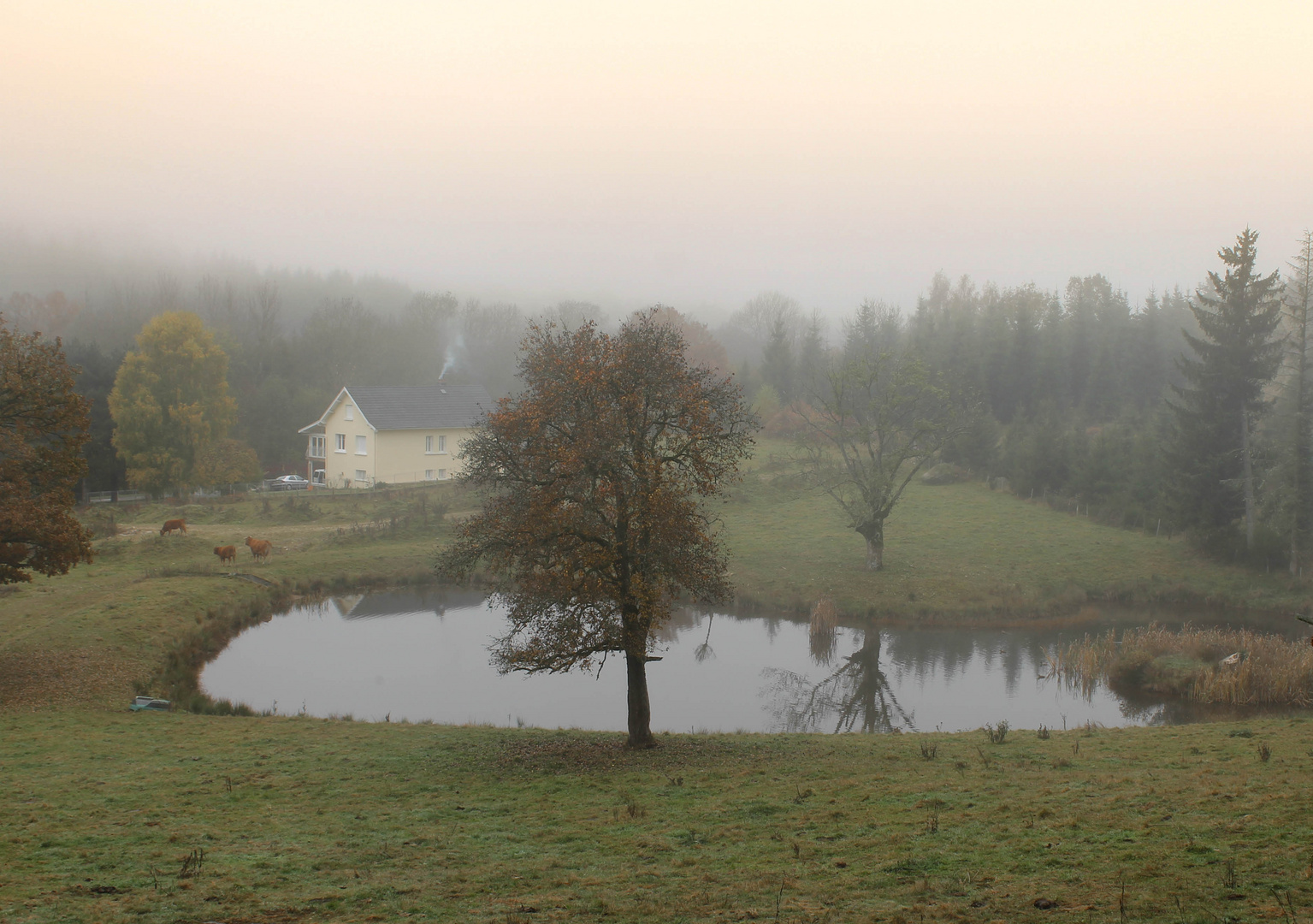 Dans le froid de l'automne 