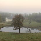 Dans le froid de l'automne 