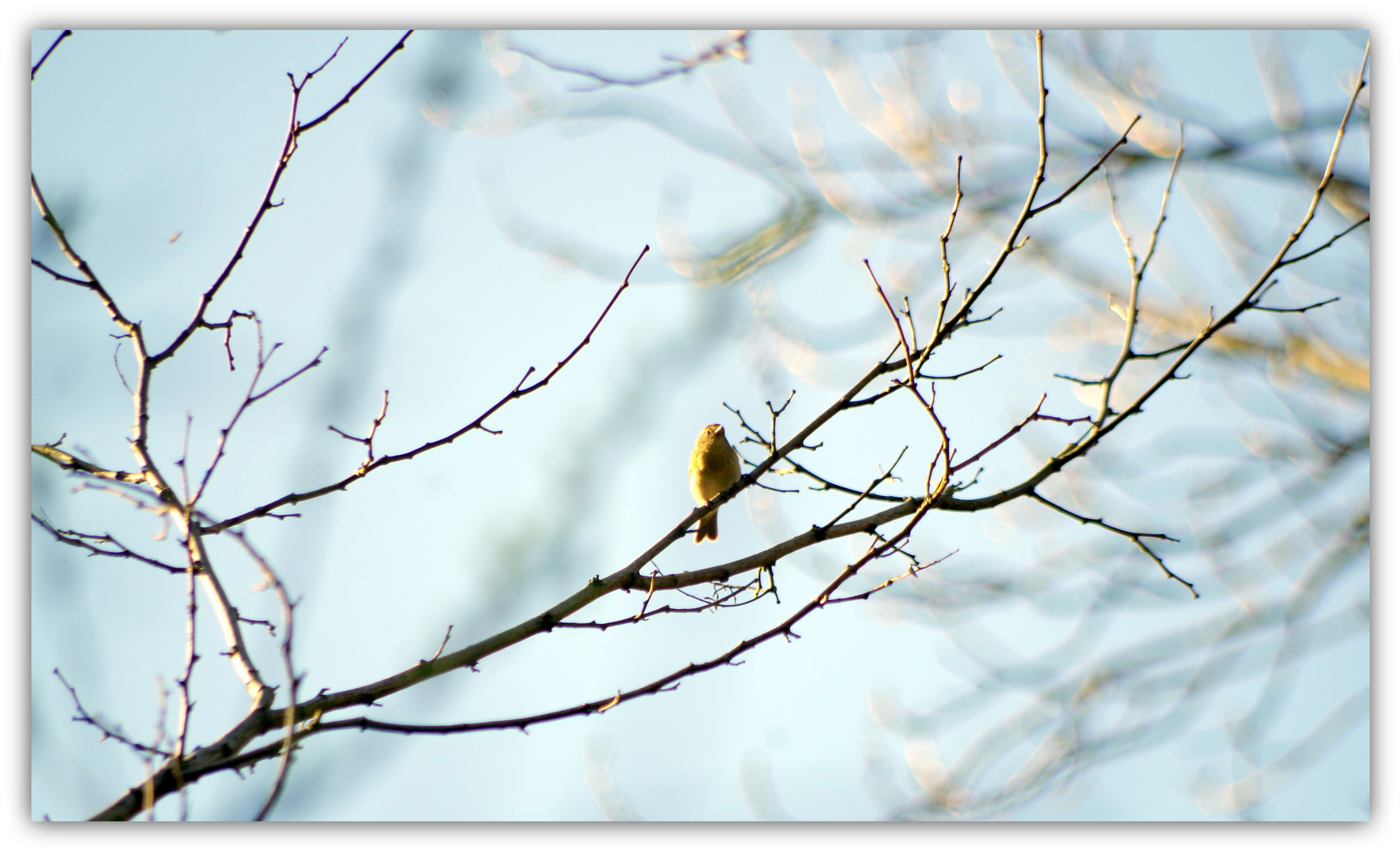 dans le jardin