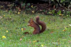 Dans le jardin