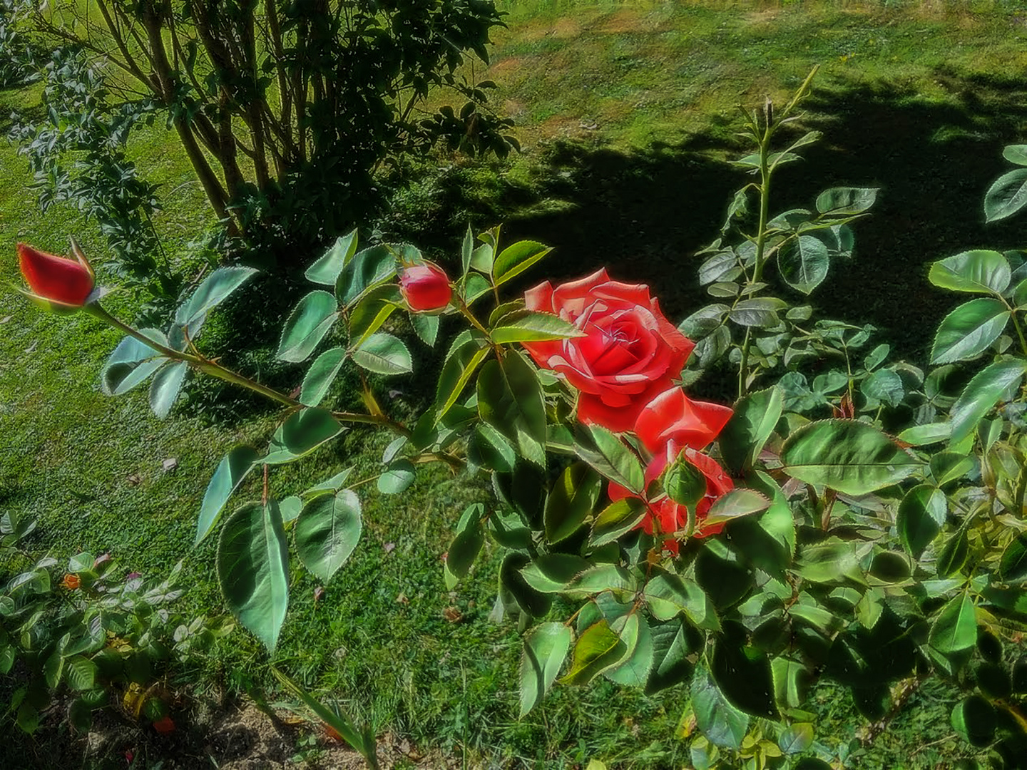 dans le jardin des enfants