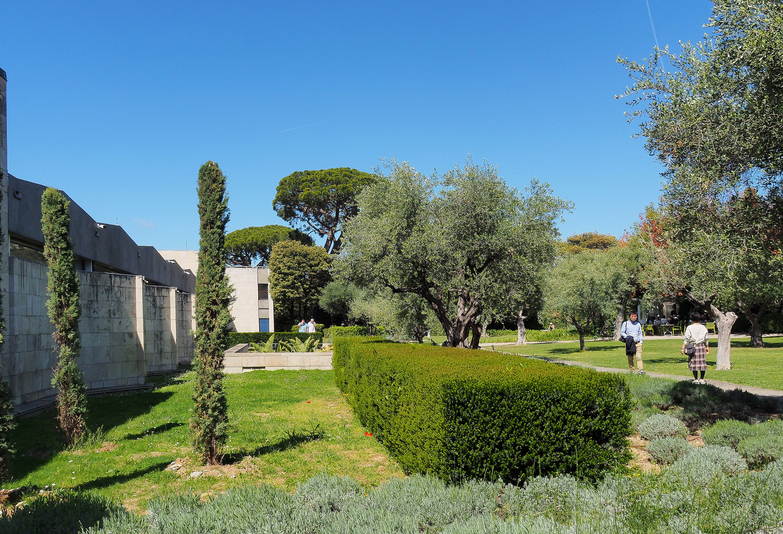 Dans le jardin du Musée Chagall