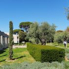 Dans le jardin du Musée Chagall