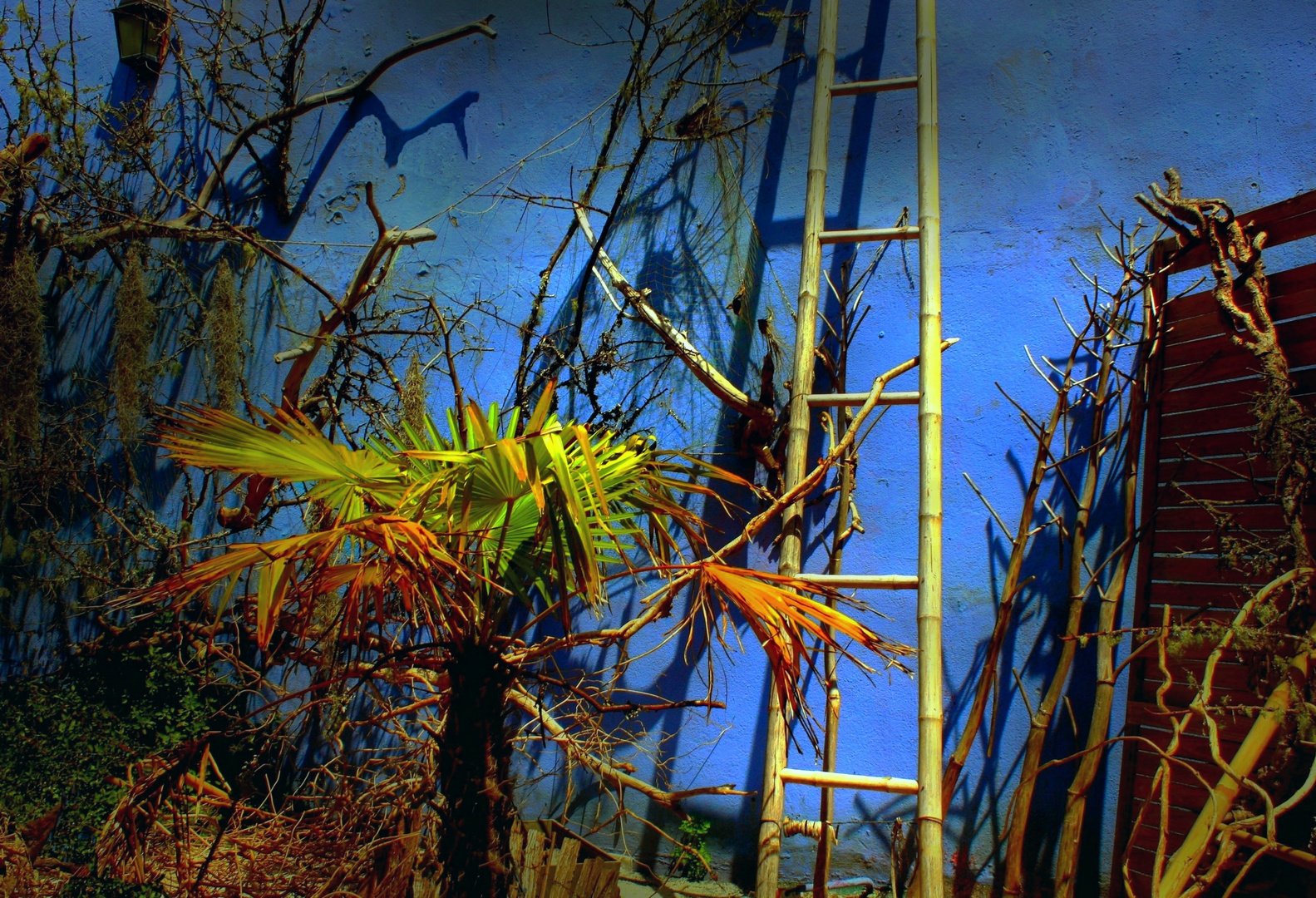 Dans le jardin d'un brocanteur / 2