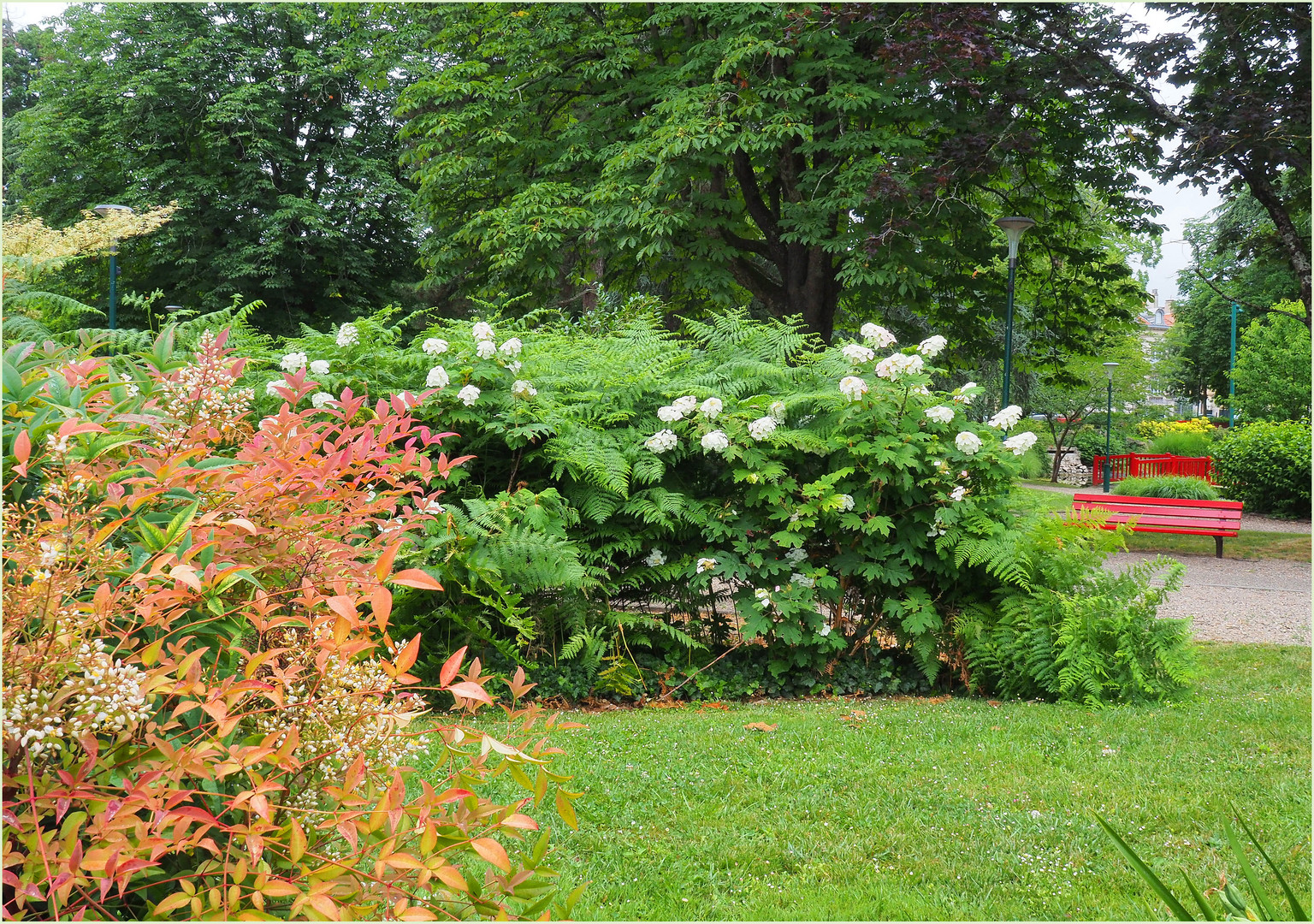 Dans le Jardin Jayan