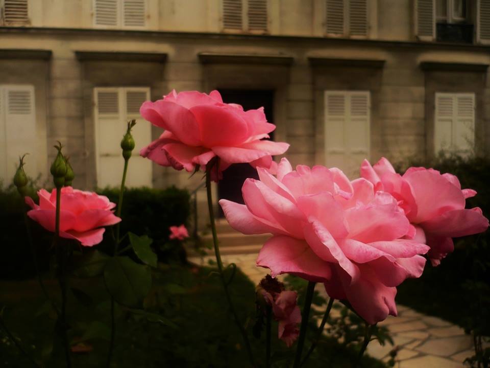 Dans le jardin, voici ces jolies roses