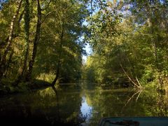 Dans le Marais Poitevin