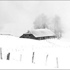 dans le massif du Salève