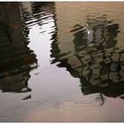 Dans le miroir d'une fontaine