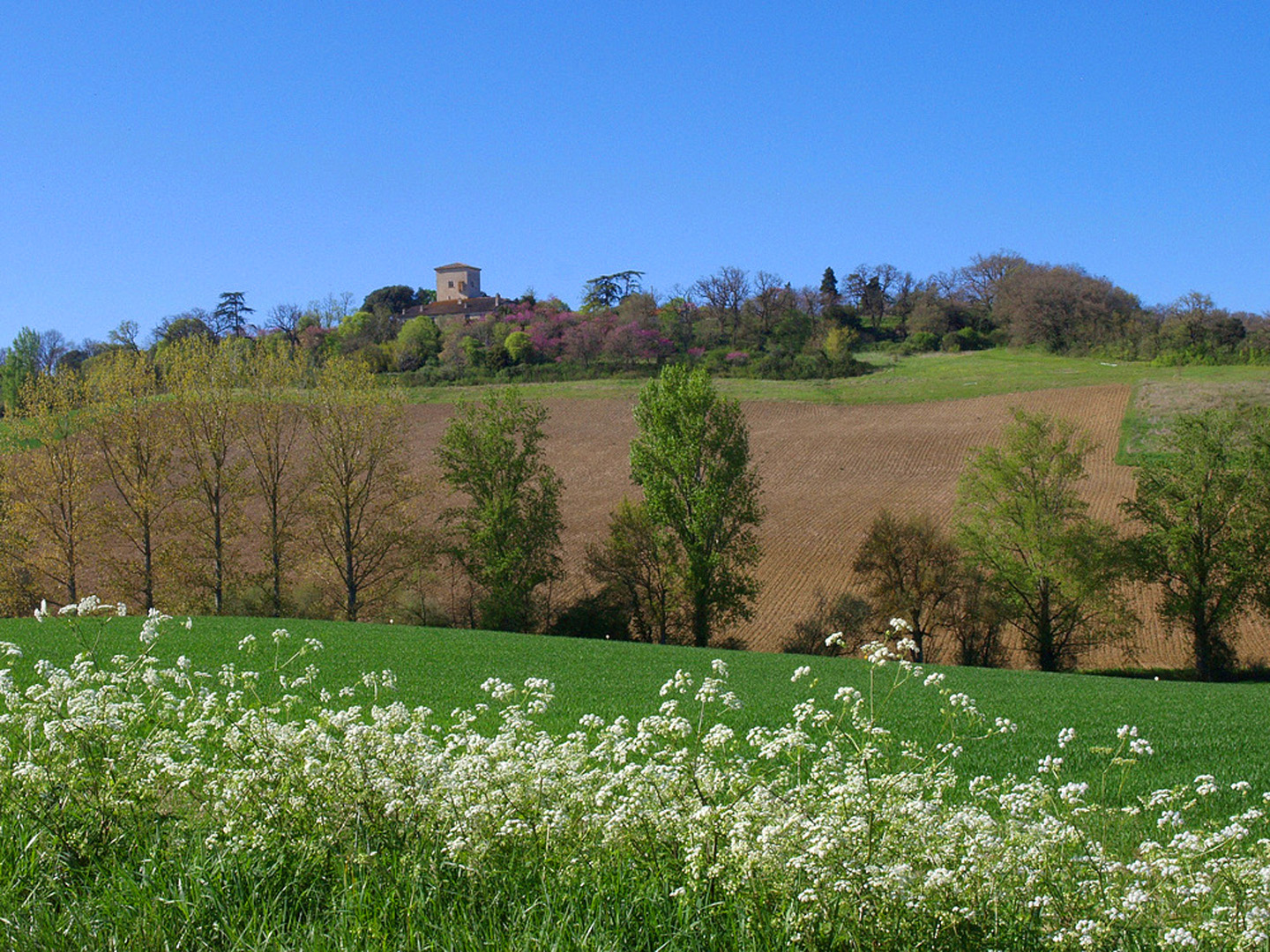 Dans le Nord-est du Gers au printemps  --  Im Nordosten des Gers im Frühling