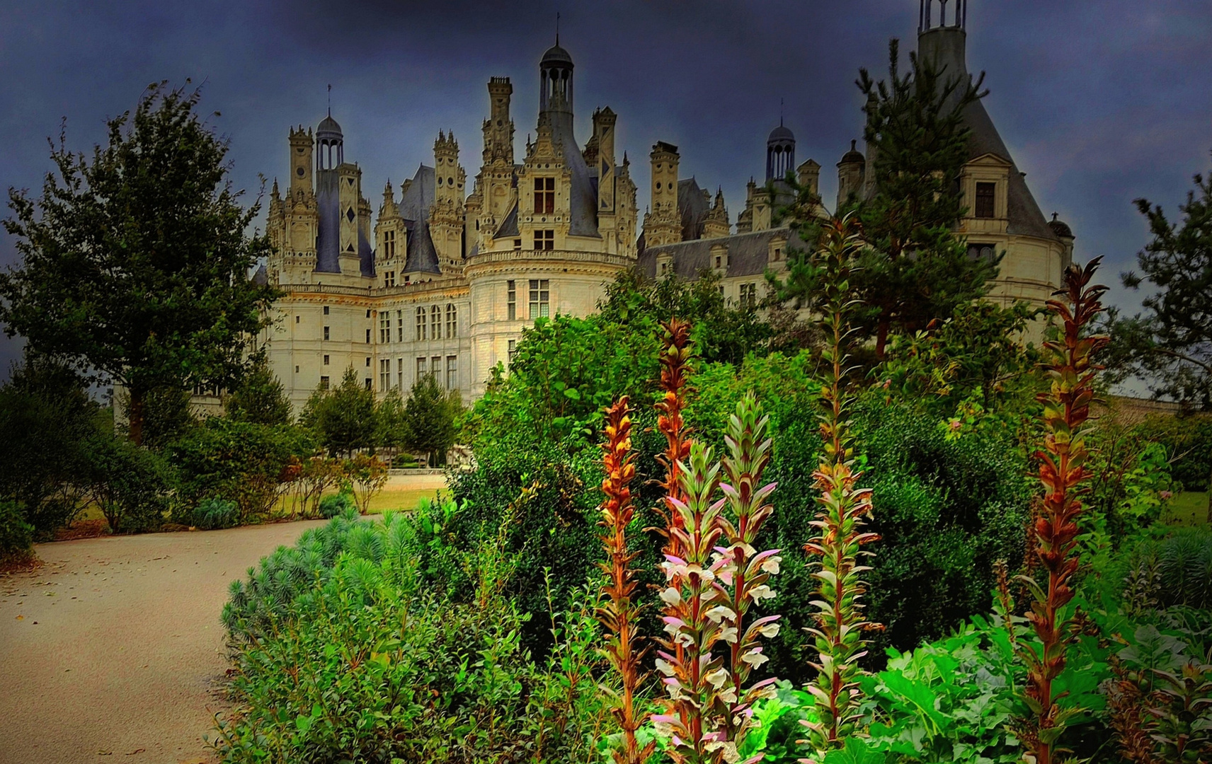 Dans  le parc de Chambord / Val de Loire 