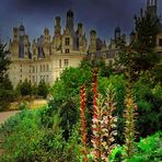 Dans  le parc de Chambord / Val de Loire 