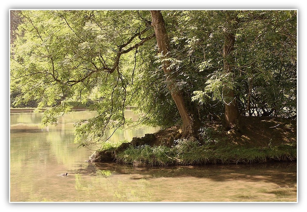 Dans le parc de Clères Seine Maritime