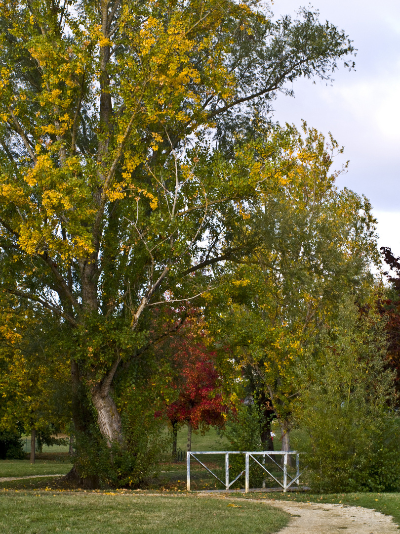  Dans le parc de Gauge