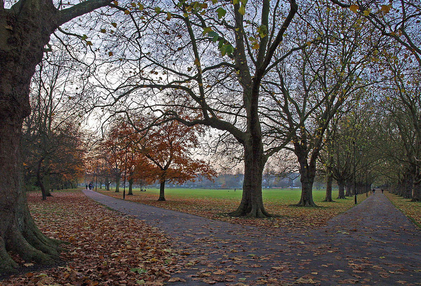 Dans le parc de « Jesus Green »  --  Cambridge  --  In der « Jesus Green » Parkanlage