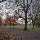 Dans le parc de « Jesus Green »  --  Cambridge  --  In der « Jesus Green » Parkanlage