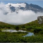 dans le Parc de la Vanoise