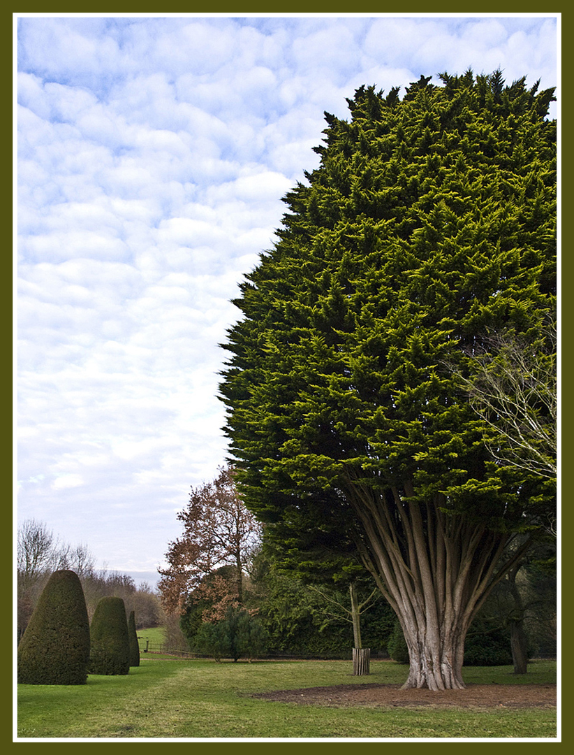 Dans le parc de Madingley Hall, Cambridge