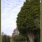 Dans le parc de Madingley Hall, Cambridge