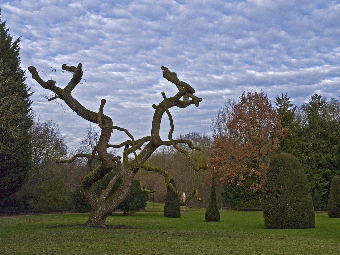 Dans le parc de Madingley Hall  --  Cambridge  --  In dem Park von Madingley Hall