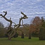 Dans le parc de Madingley Hall  --  Cambridge  --  In dem Park von Madingley Hall