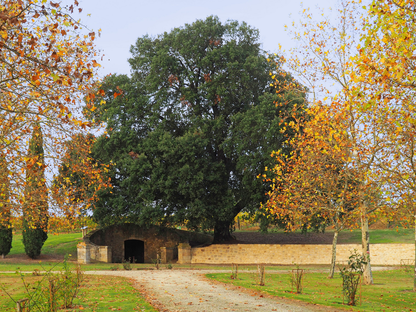 Dans le parc du Château de Cassaigne