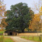 Dans le parc du Château de Cassaigne