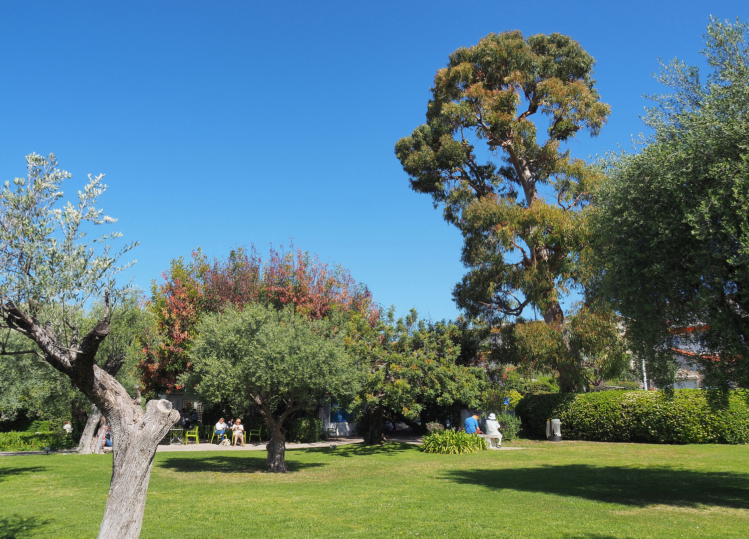 Dans le parc du Musée Marc Chagall