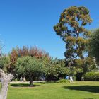 Dans le parc du Musée Marc Chagall