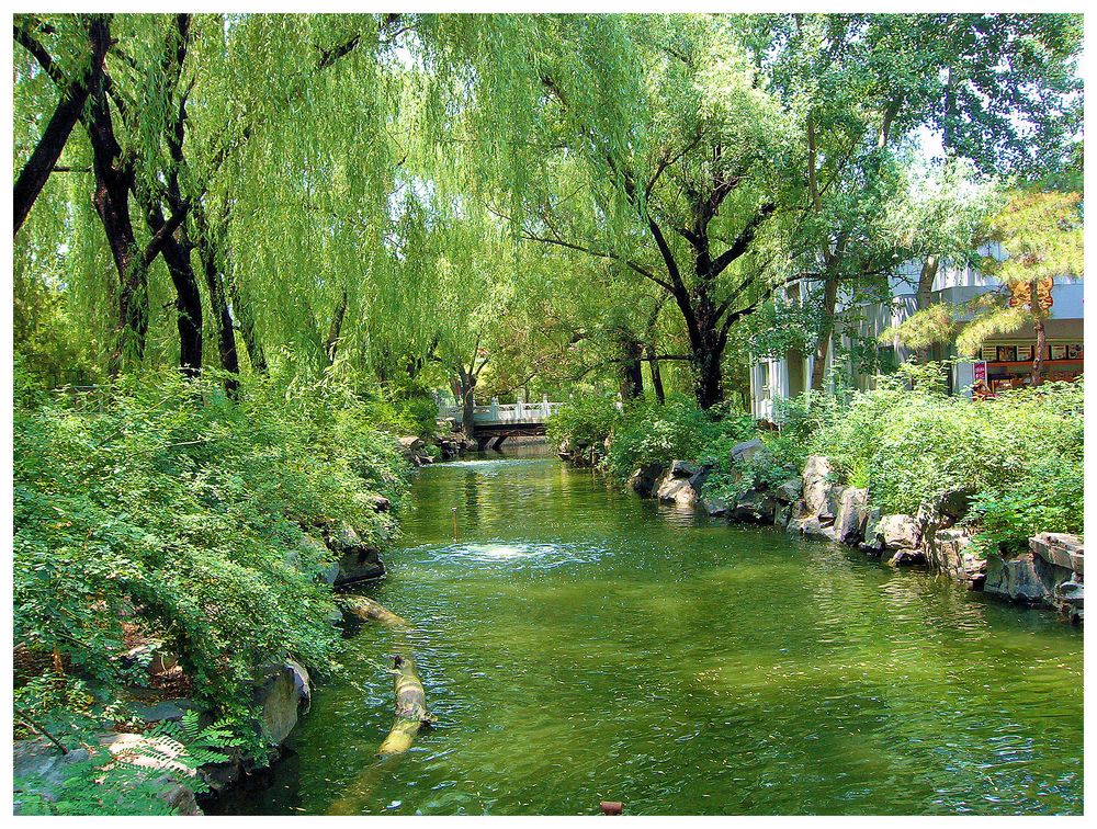 Dans le parc du zoo, Beijing