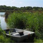 Dans le parc écologique Izadia  -  Anglet