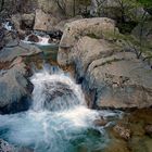 Dans le Parc National Paklenica ... Im Paklenica Nationalpark ...