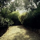 Dans le Park Güell