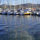 Dans le port d'Hendaye !