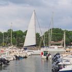 Dans le port d’Hossegor-Capbreton