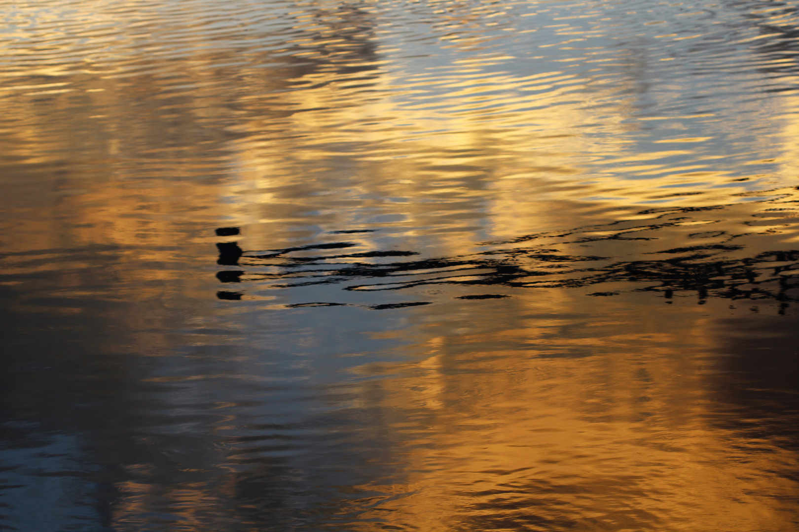 Dans le Rhône, reflets